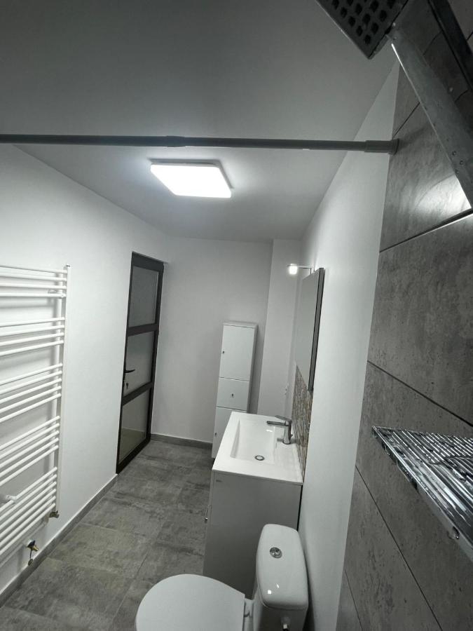 Ferienwohnung Casa Dan Buzau Exterior foto