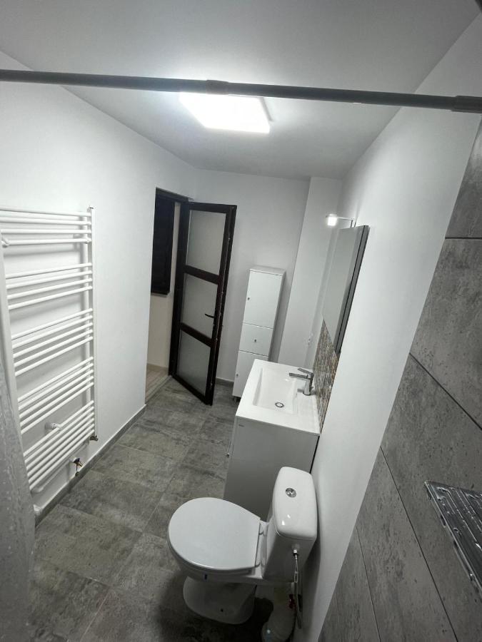 Ferienwohnung Casa Dan Buzau Exterior foto